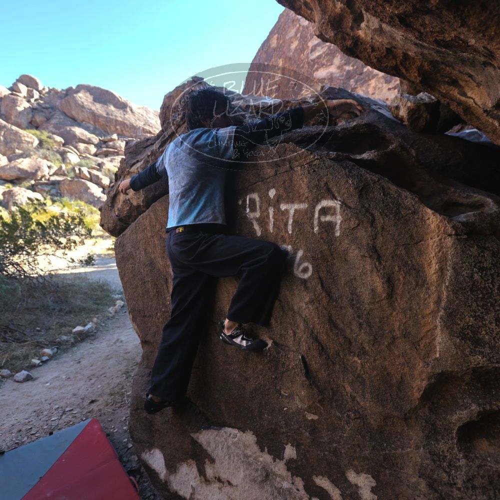 

Filename: SRM_20251124_1023530.jpg
Aperture: f/4.5
Shutter Speed: 1/500
Body: Canon EOS R6
Lens: Canon EF 16-35mm f/2.8 L