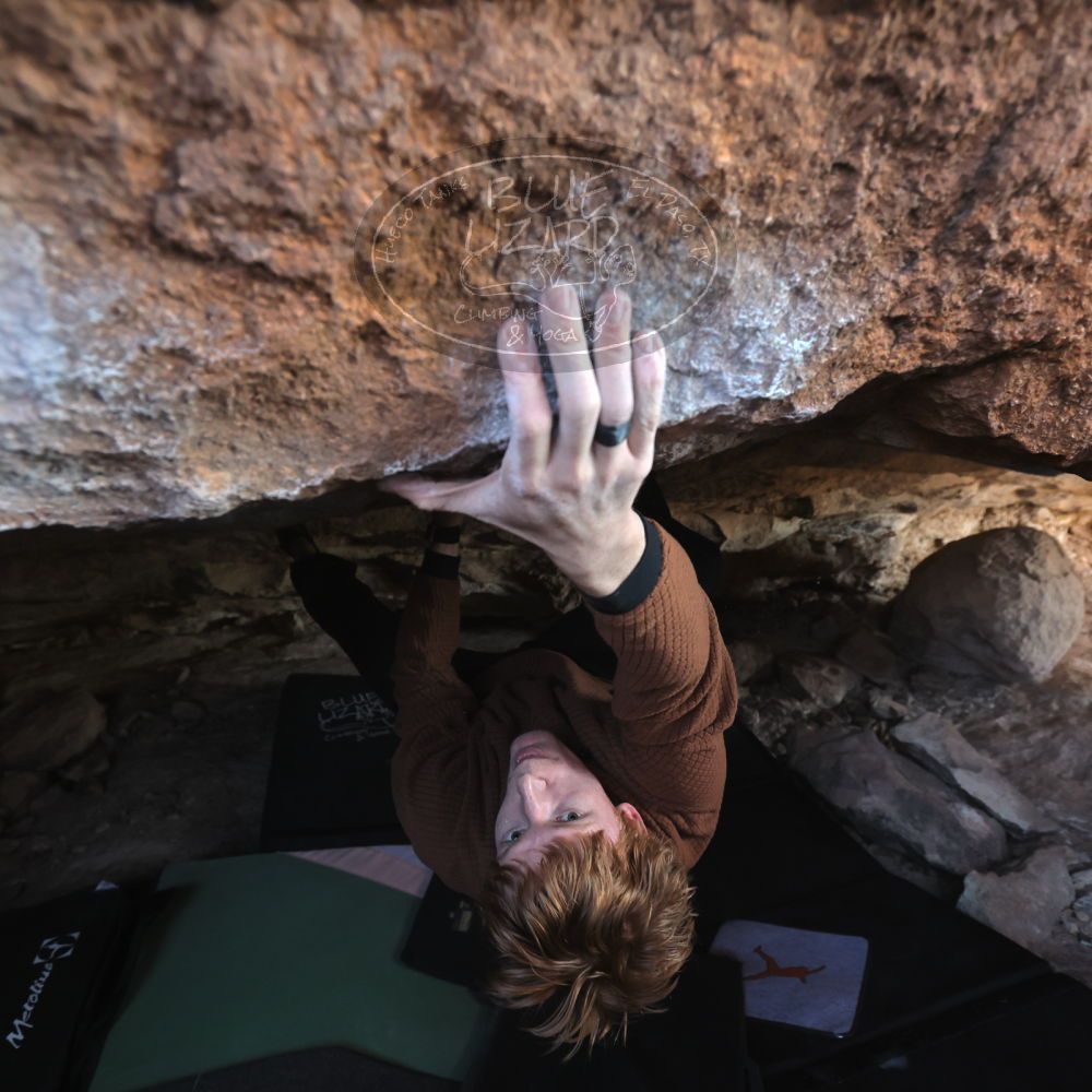 

Filename: SRM_20251124_1216490.jpg
Aperture: f/4.0
Shutter Speed: 1/400
Body: Canon EOS R6
Lens: Canon EF 16-35mm f/2.8 L