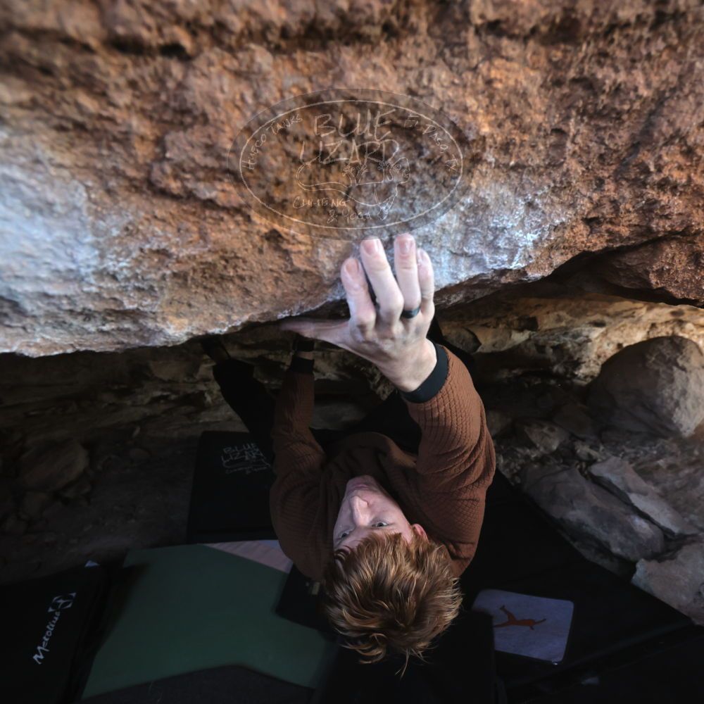 

Filename: SRM_20251124_1216491.jpg
Aperture: f/4.0
Shutter Speed: 1/400
Body: Canon EOS R6
Lens: Canon EF 16-35mm f/2.8 L