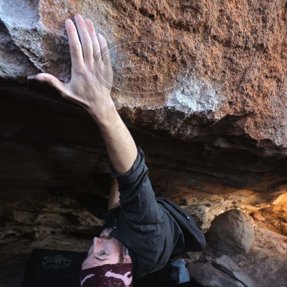 

Filename: SRM_20251124_1219320.jpg
Aperture: f/4.0
Shutter Speed: 1/400
Body: Canon EOS R6
Lens: Canon EF 16-35mm f/2.8 L