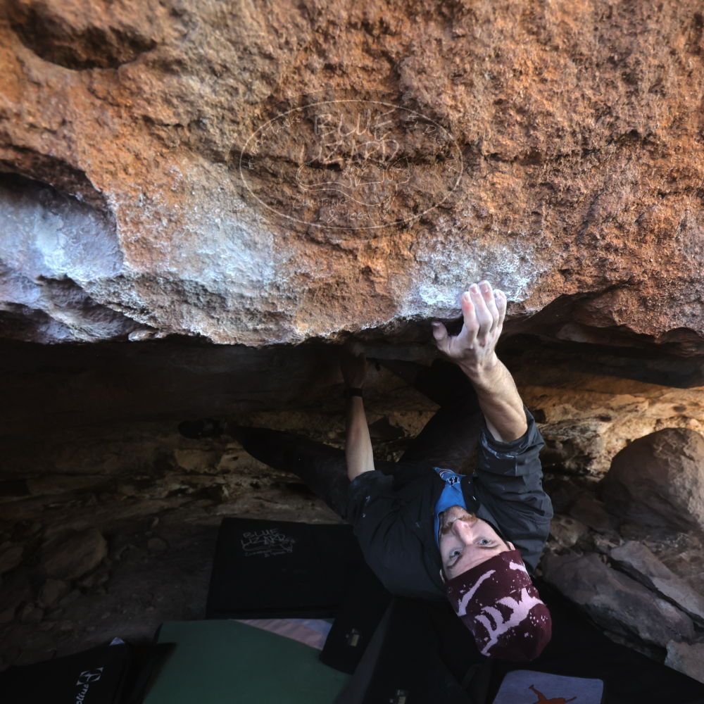 

Filename: SRM_20251124_1223480.jpg
Aperture: f/4.0
Shutter Speed: 1/400
Body: Canon EOS R6
Lens: Canon EF 16-35mm f/2.8 L