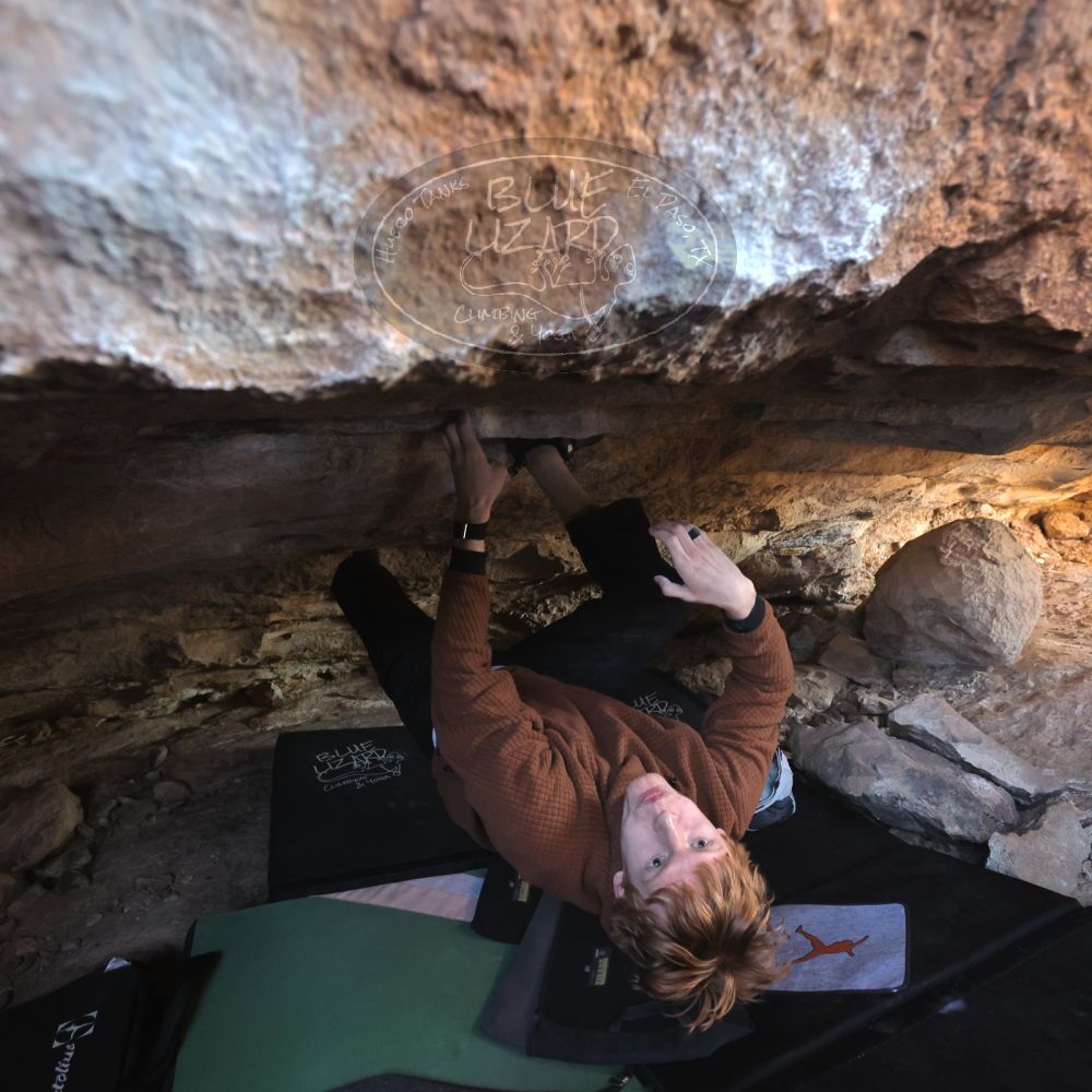 

Filename: SRM_20251124_1225230.jpg
Aperture: f/4.0
Shutter Speed: 1/400
Body: Canon EOS R6
Lens: Canon EF 16-35mm f/2.8 L