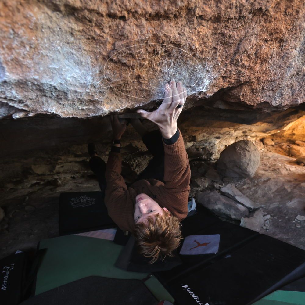 

Filename: SRM_20251124_1225231.jpg
Aperture: f/4.0
Shutter Speed: 1/400
Body: Canon EOS R6
Lens: Canon EF 16-35mm f/2.8 L