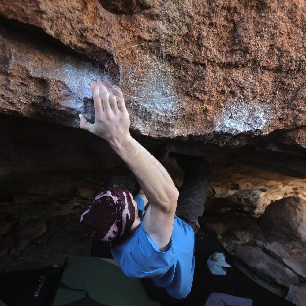 

Filename: SRM_20251124_1226570.jpg
Aperture: f/4.0
Shutter Speed: 1/400
Body: Canon EOS R6
Lens: Canon EF 16-35mm f/2.8 L