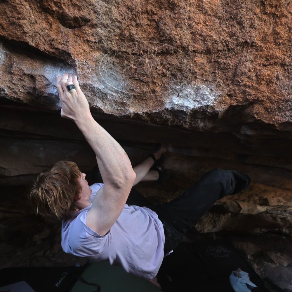 

Filename: SRM_20251124_1231230.jpg
Aperture: f/4.0
Shutter Speed: 1/400
Body: Canon EOS R6
Lens: Canon EF 16-35mm f/2.8 L