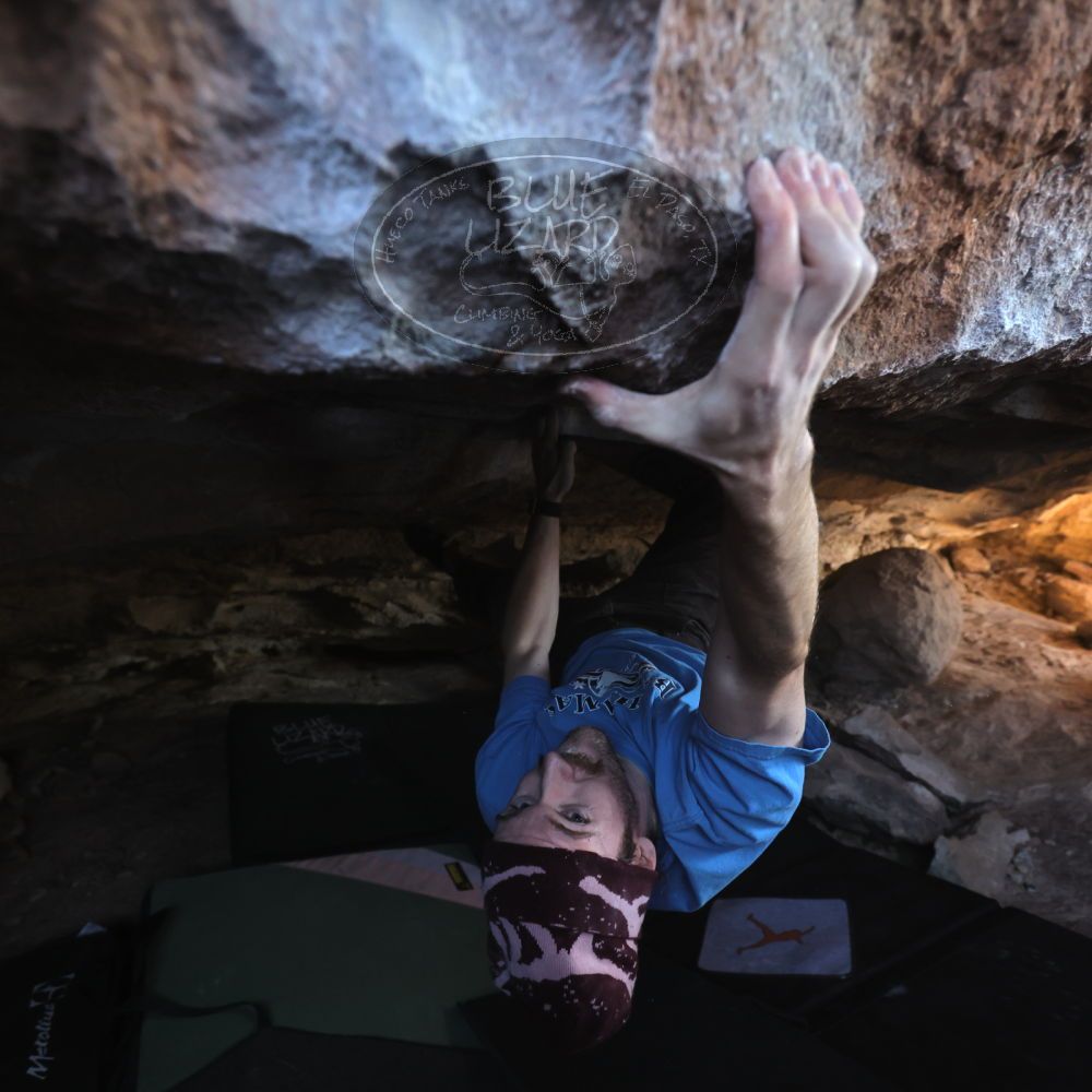 

Filename: SRM_20251124_1233071.jpg
Aperture: f/4.0
Shutter Speed: 1/400
Body: Canon EOS R6
Lens: Canon EF 16-35mm f/2.8 L