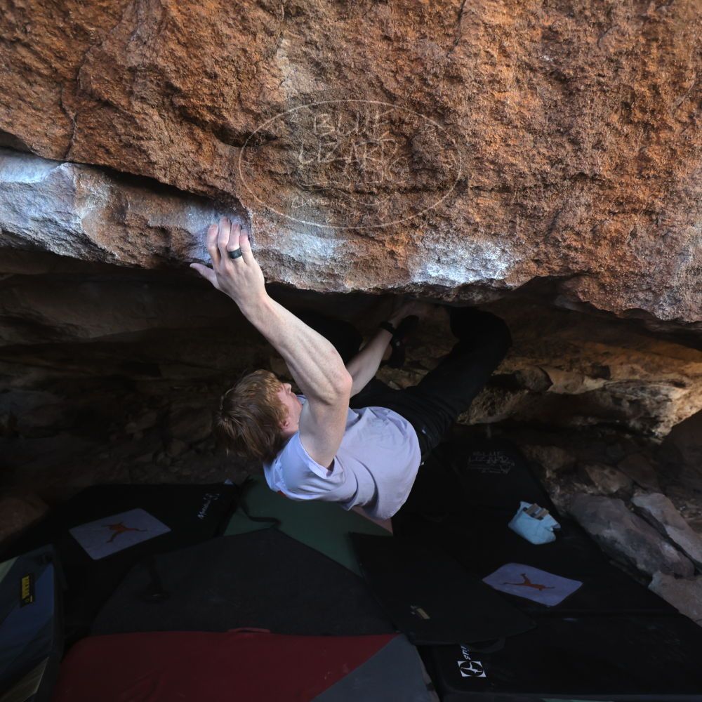 

Filename: SRM_20251124_1236270.jpg
Aperture: f/4.0
Shutter Speed: 1/400
Body: Canon EOS R6
Lens: Canon EF 16-35mm f/2.8 L