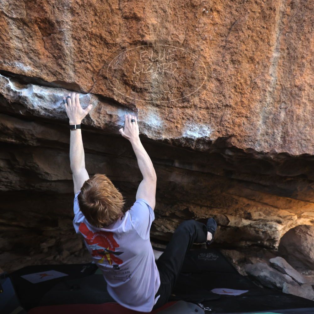 

Filename: SRM_20251124_1243160.jpg
Aperture: f/4.0
Shutter Speed: 1/400
Body: Canon EOS R6
Lens: Canon EF 16-35mm f/2.8 L