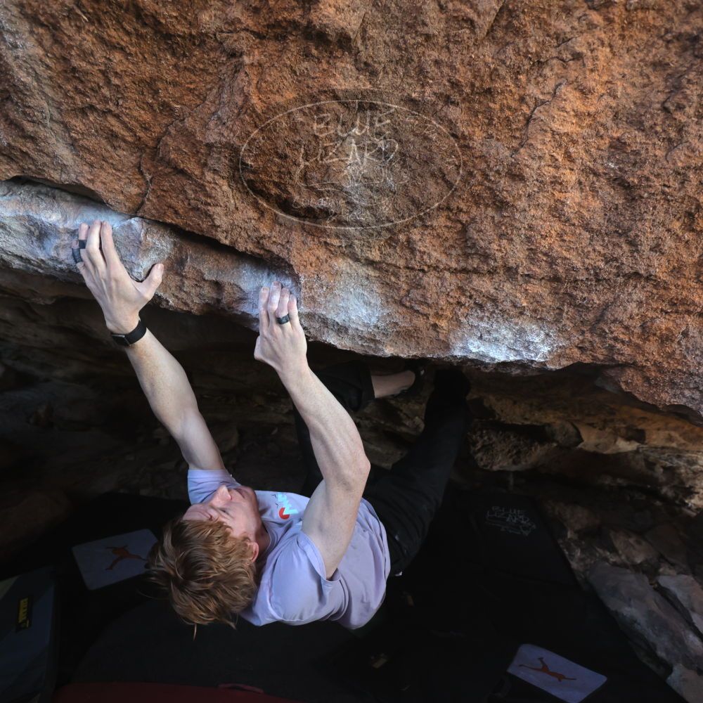 

Filename: SRM_20251124_1250190.jpg
Aperture: f/4.0
Shutter Speed: 1/400
Body: Canon EOS R6
Lens: Canon EF 16-35mm f/2.8 L