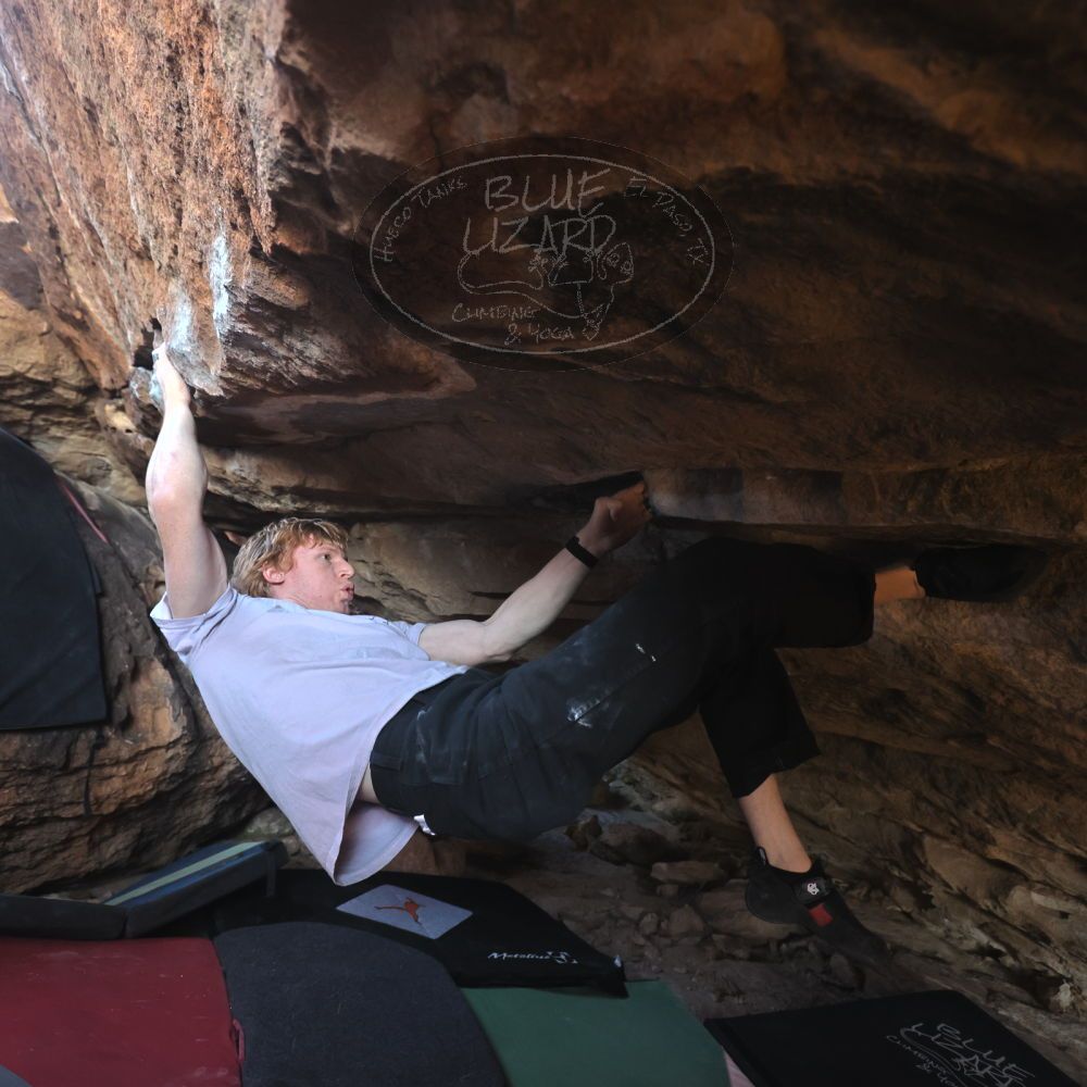 

Filename: SRM_20251124_1300150.jpg
Aperture: f/4.0
Shutter Speed: 1/400
Body: Canon EOS R6
Lens: Canon EF 16-35mm f/2.8 L