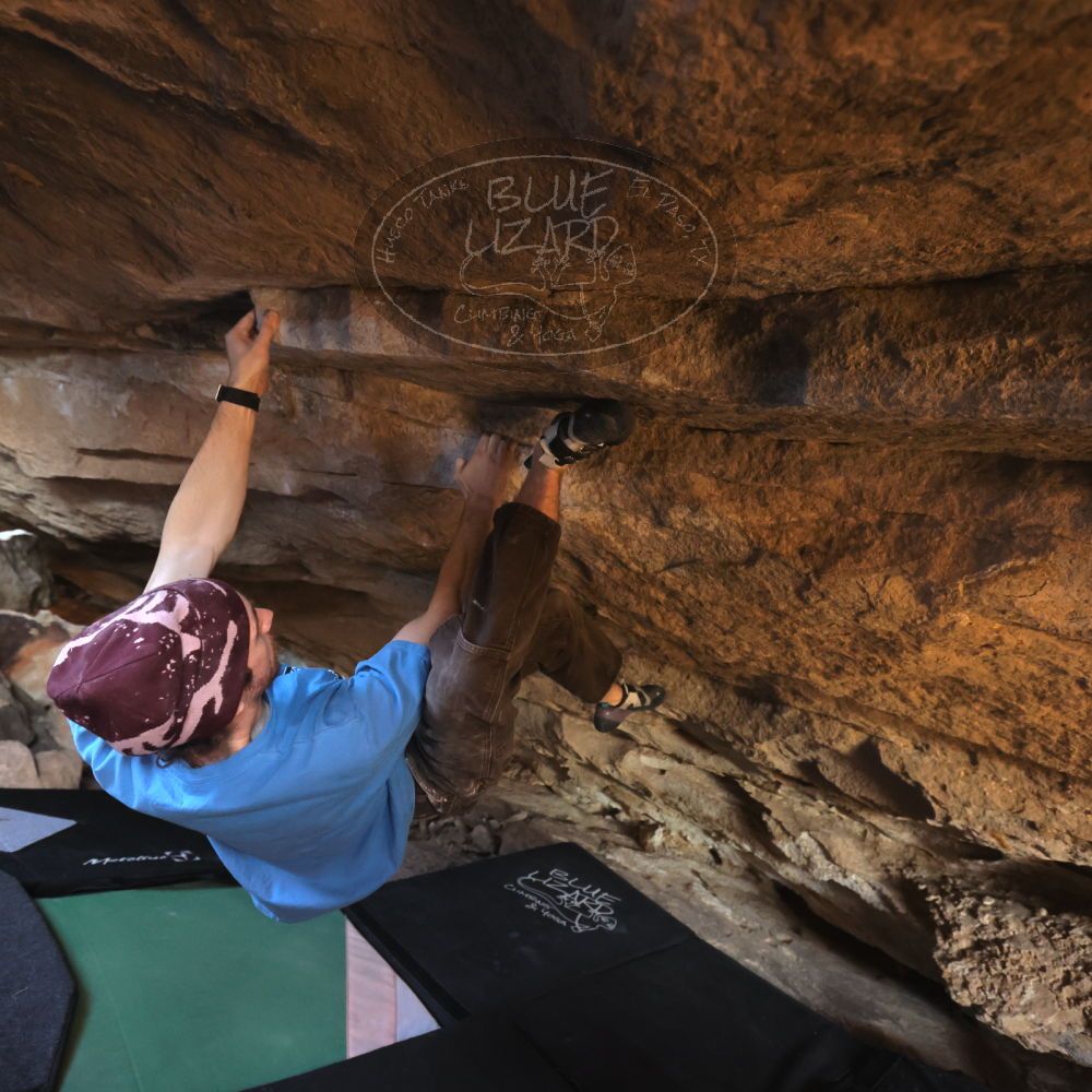 

Filename: SRM_20251124_1301580.jpg
Aperture: f/4.0
Shutter Speed: 1/400
Body: Canon EOS R6
Lens: Canon EF 16-35mm f/2.8 L