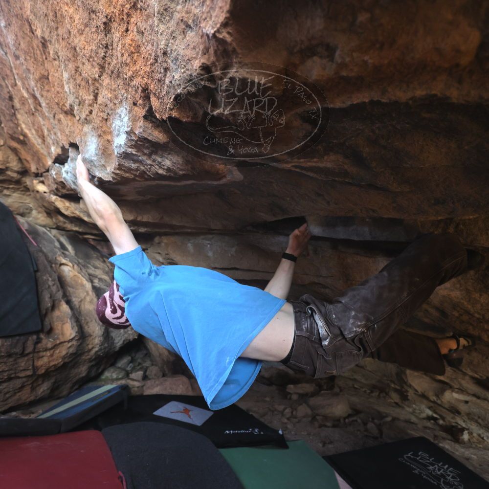 

Filename: SRM_20251124_1302040.jpg
Aperture: f/4.0
Shutter Speed: 1/400
Body: Canon EOS R6
Lens: Canon EF 16-35mm f/2.8 L