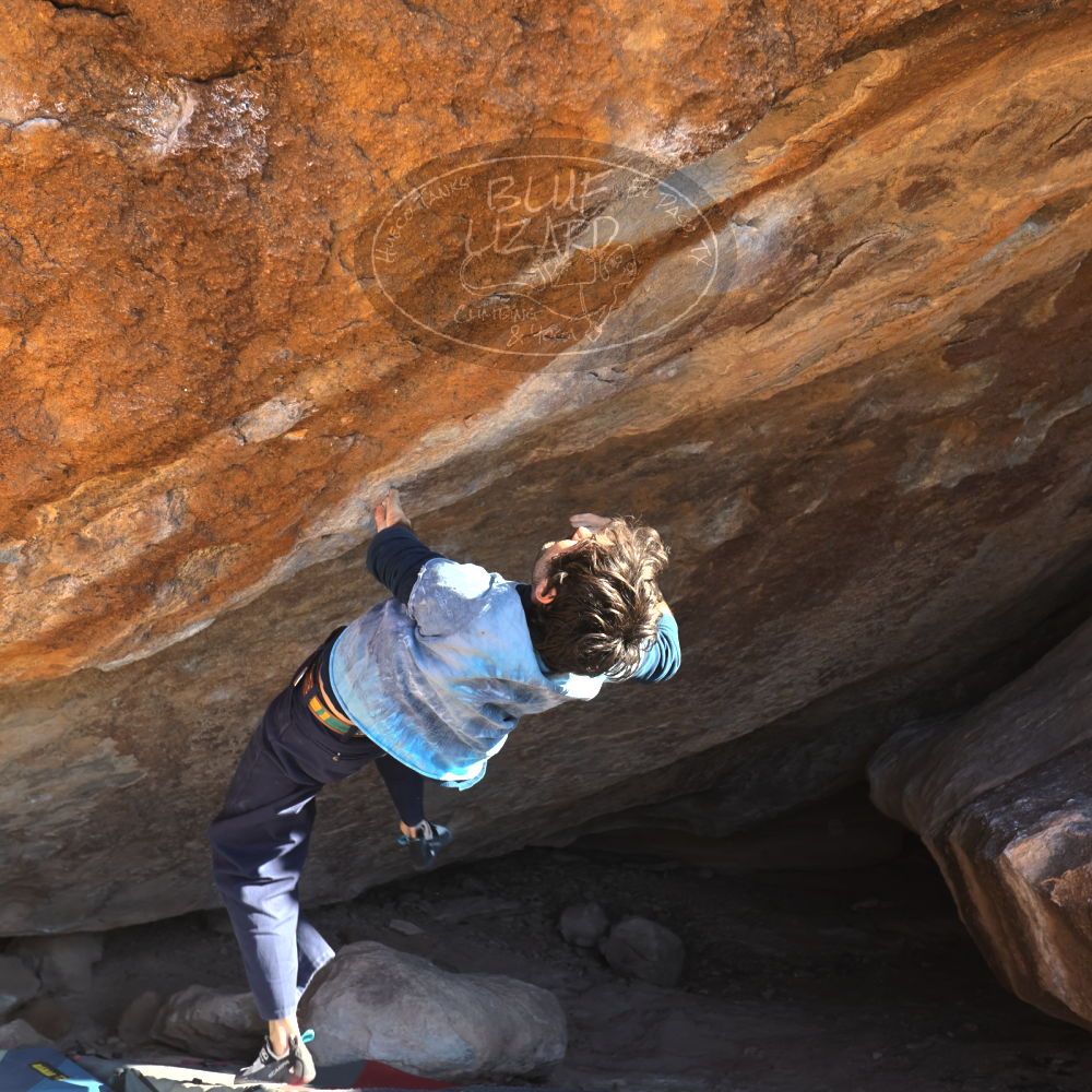 

Filename: SRM_20251124_1433360.jpg
Aperture: f/4.0
Shutter Speed: 1/500
Body: Canon EOS R6
Lens: Canon EF 16-35mm f/2.8 L