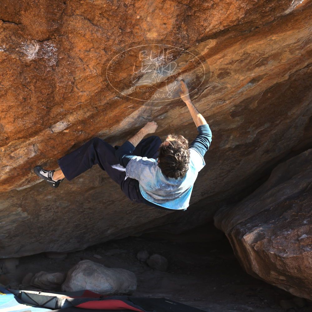 

Filename: SRM_20251124_1434420.jpg
Aperture: f/4.0
Shutter Speed: 1/500
Body: Canon EOS R6
Lens: Canon EF 16-35mm f/2.8 L