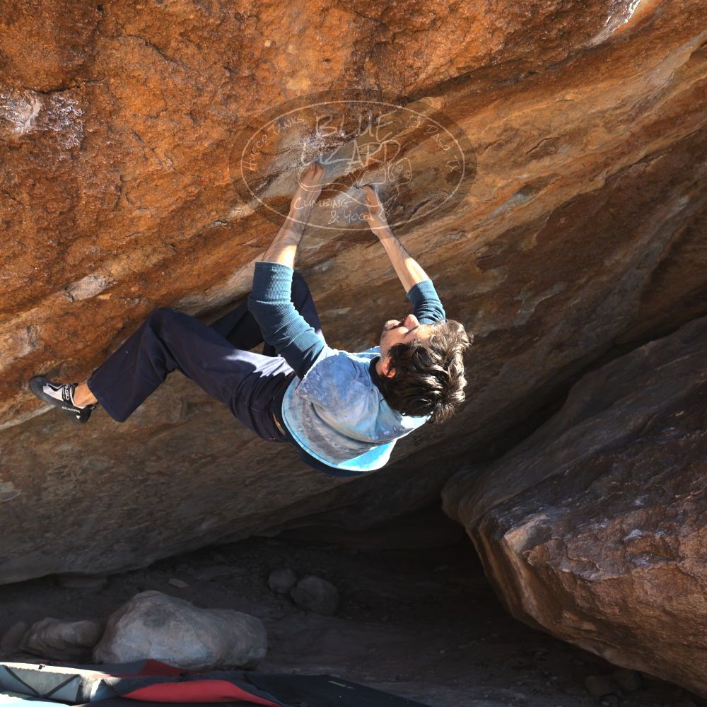 

Filename: SRM_20251124_1434421.jpg
Aperture: f/4.0
Shutter Speed: 1/500
Body: Canon EOS R6
Lens: Canon EF 16-35mm f/2.8 L