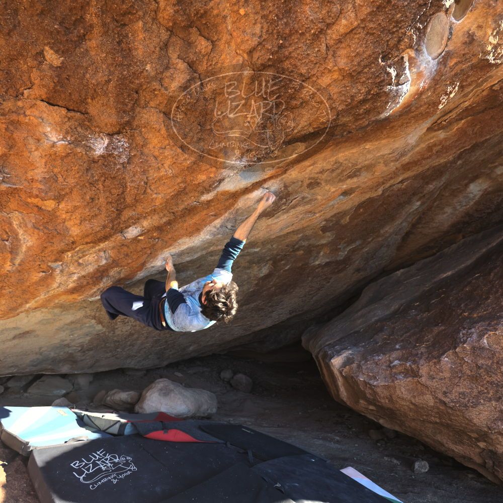 

Filename: SRM_20251124_1440320.jpg
Aperture: f/4.0
Shutter Speed: 1/500
Body: Canon EOS R6
Lens: Canon EF 16-35mm f/2.8 L