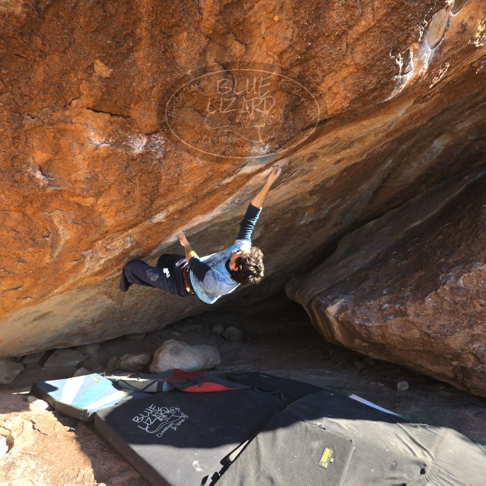 

Filename: SRM_20251124_1444450.jpg
Aperture: f/4.0
Shutter Speed: 1/500
Body: Canon EOS R6
Lens: Canon EF 16-35mm f/2.8 L