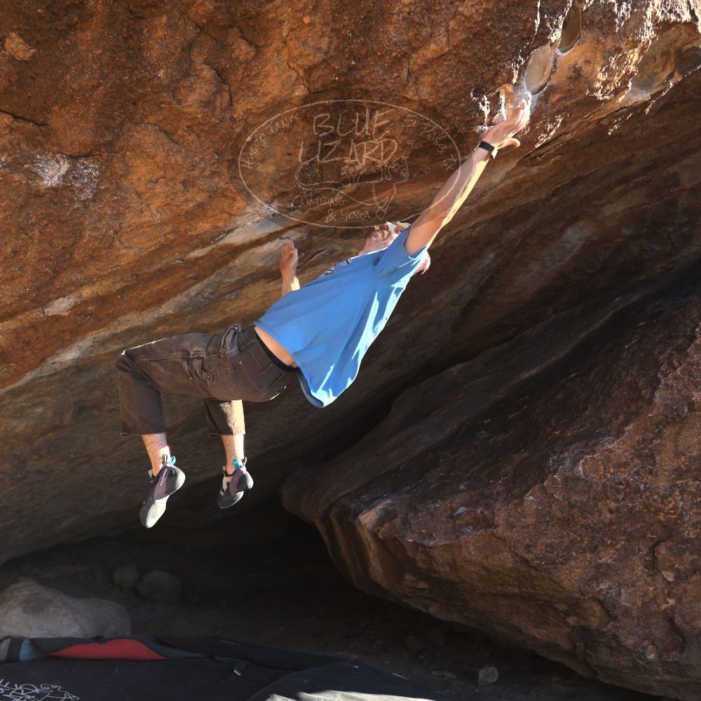 

Filename: SRM_20251124_1446340.jpg
Aperture: f/4.0
Shutter Speed: 1/500
Body: Canon EOS R6
Lens: Canon EF 16-35mm f/2.8 L