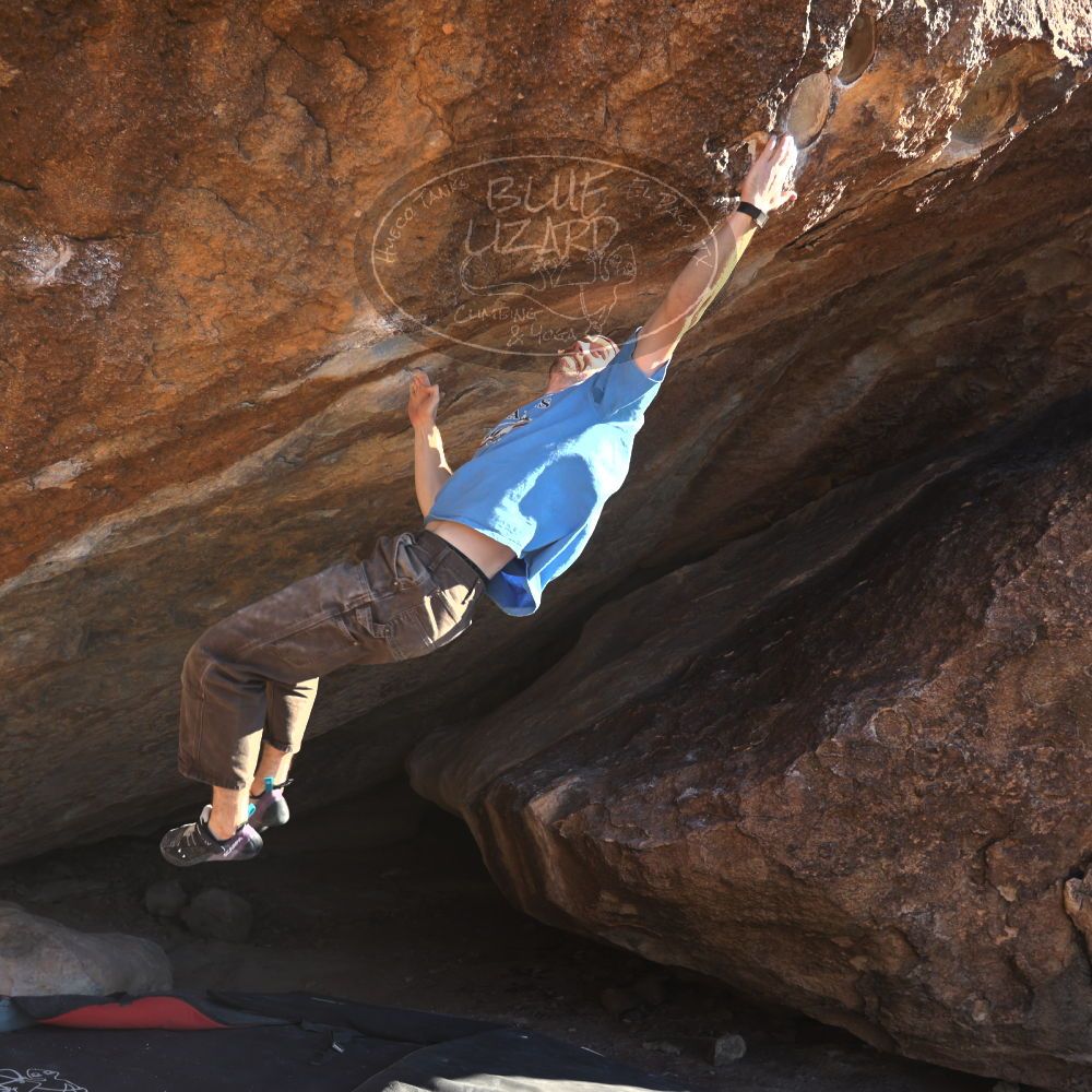 

Filename: SRM_20251124_1446341.jpg
Aperture: f/4.0
Shutter Speed: 1/500
Body: Canon EOS R6
Lens: Canon EF 16-35mm f/2.8 L