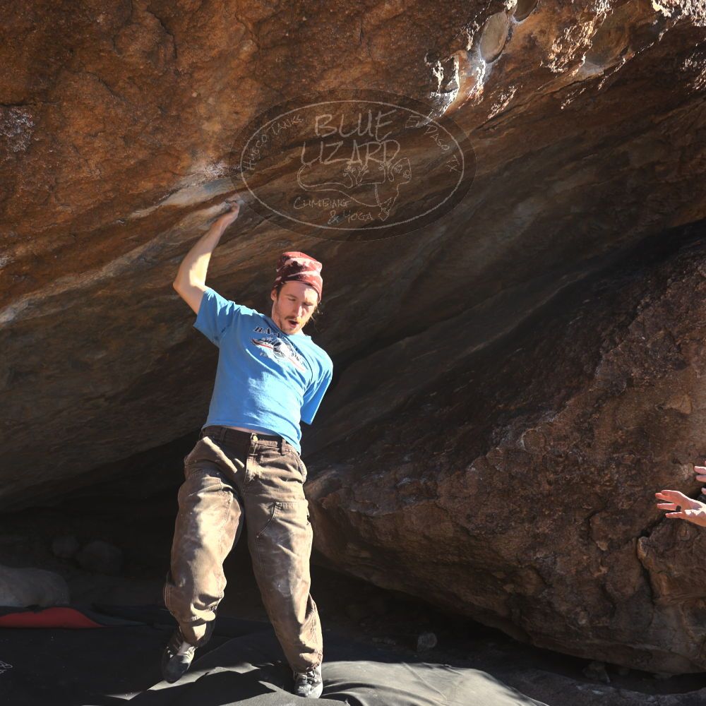 

Filename: SRM_20251124_1446353.jpg
Aperture: f/4.0
Shutter Speed: 1/500
Body: Canon EOS R6
Lens: Canon EF 16-35mm f/2.8 L