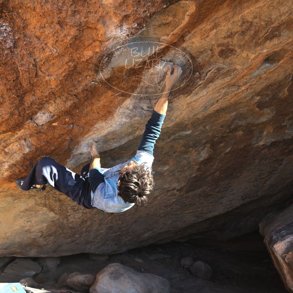 

Filename: SRM_20251124_1447460.jpg
Aperture: f/4.0
Shutter Speed: 1/500
Body: Canon EOS R6
Lens: Canon EF 16-35mm f/2.8 L