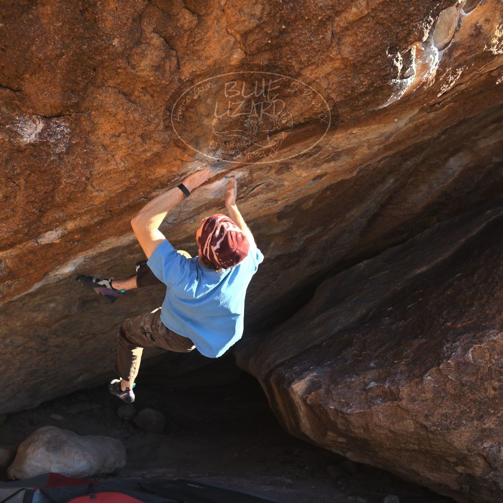 

Filename: SRM_20251124_1450180.jpg
Aperture: f/4.0
Shutter Speed: 1/500
Body: Canon EOS R6
Lens: Canon EF 16-35mm f/2.8 L