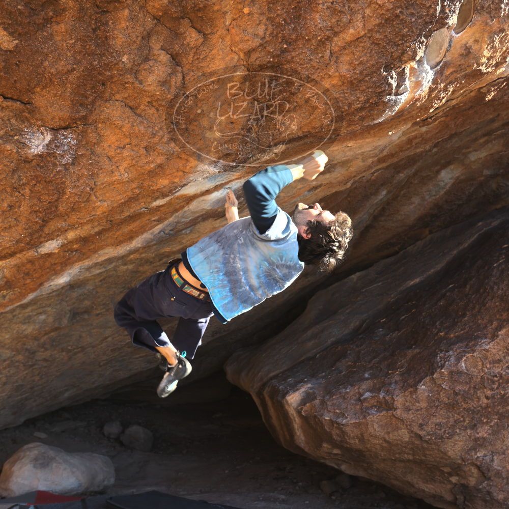 

Filename: SRM_20251124_1453400.jpg
Aperture: f/4.0
Shutter Speed: 1/500
Body: Canon EOS R6
Lens: Canon EF 16-35mm f/2.8 L