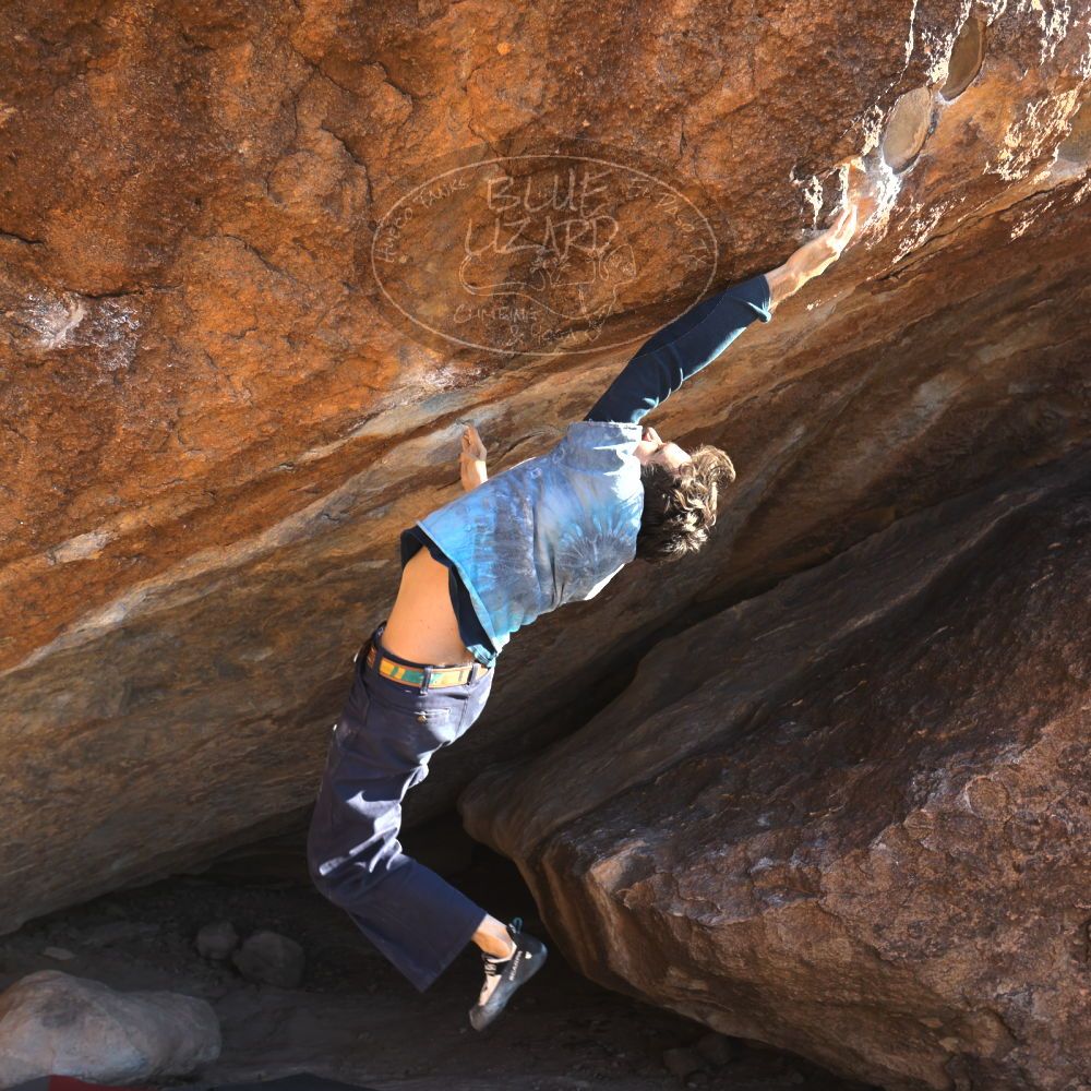 

Filename: SRM_20251124_1453401.jpg
Aperture: f/4.0
Shutter Speed: 1/500
Body: Canon EOS R6
Lens: Canon EF 16-35mm f/2.8 L