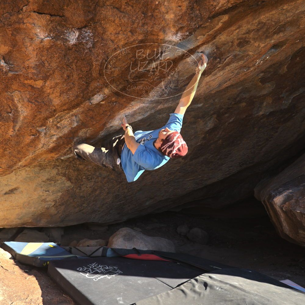 

Filename: SRM_20251124_1456510.jpg
Aperture: f/4.0
Shutter Speed: 1/500
Body: Canon EOS R6
Lens: Canon EF 16-35mm f/2.8 L