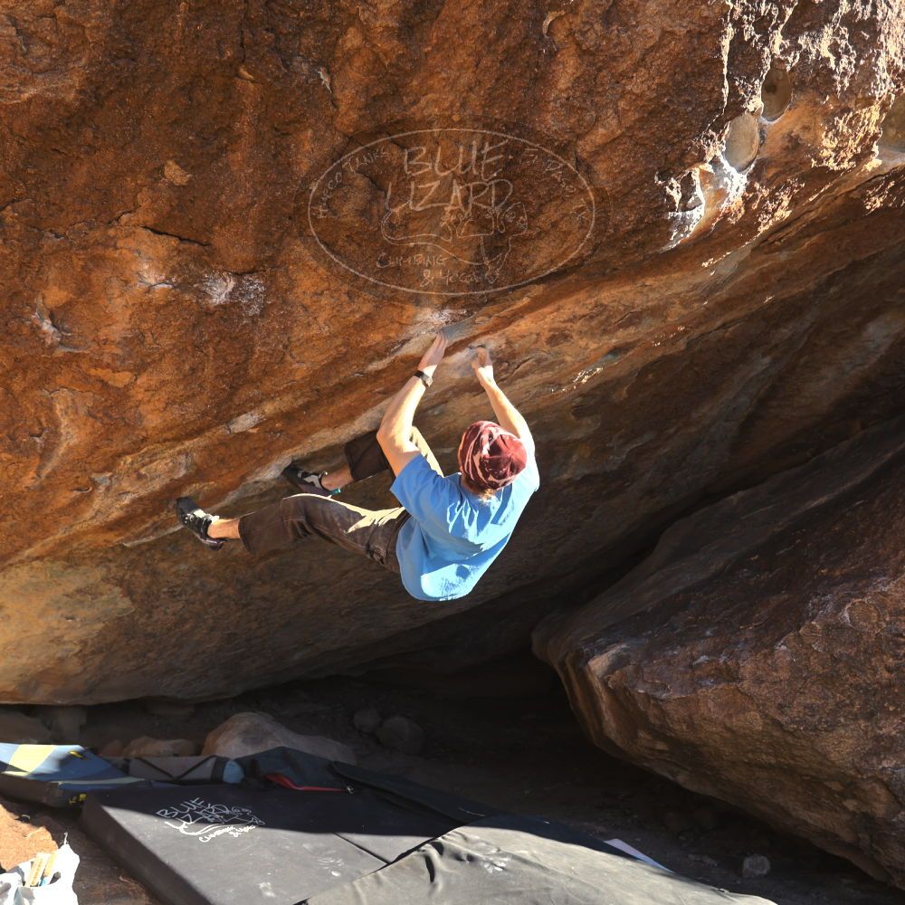 

Filename: SRM_20251124_1458060.jpg
Aperture: f/4.0
Shutter Speed: 1/500
Body: Canon EOS R6
Lens: Canon EF 16-35mm f/2.8 L