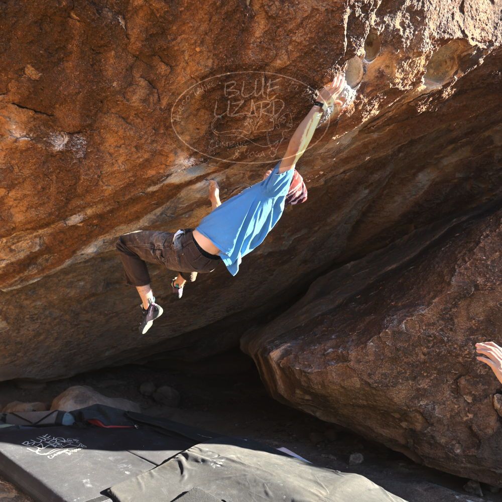 

Filename: SRM_20251124_1458100.jpg
Aperture: f/4.0
Shutter Speed: 1/500
Body: Canon EOS R6
Lens: Canon EF 16-35mm f/2.8 L