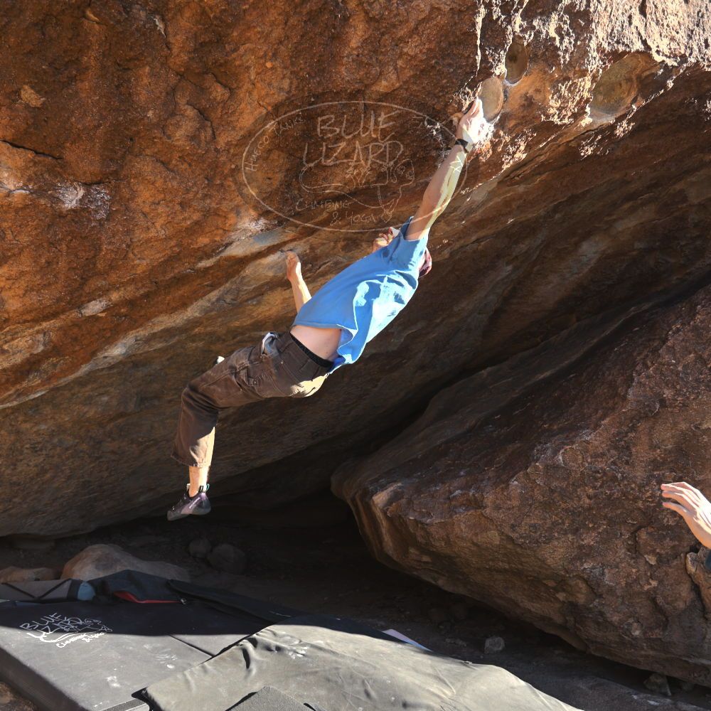 

Filename: SRM_20251124_1458101.jpg
Aperture: f/4.0
Shutter Speed: 1/500
Body: Canon EOS R6
Lens: Canon EF 16-35mm f/2.8 L