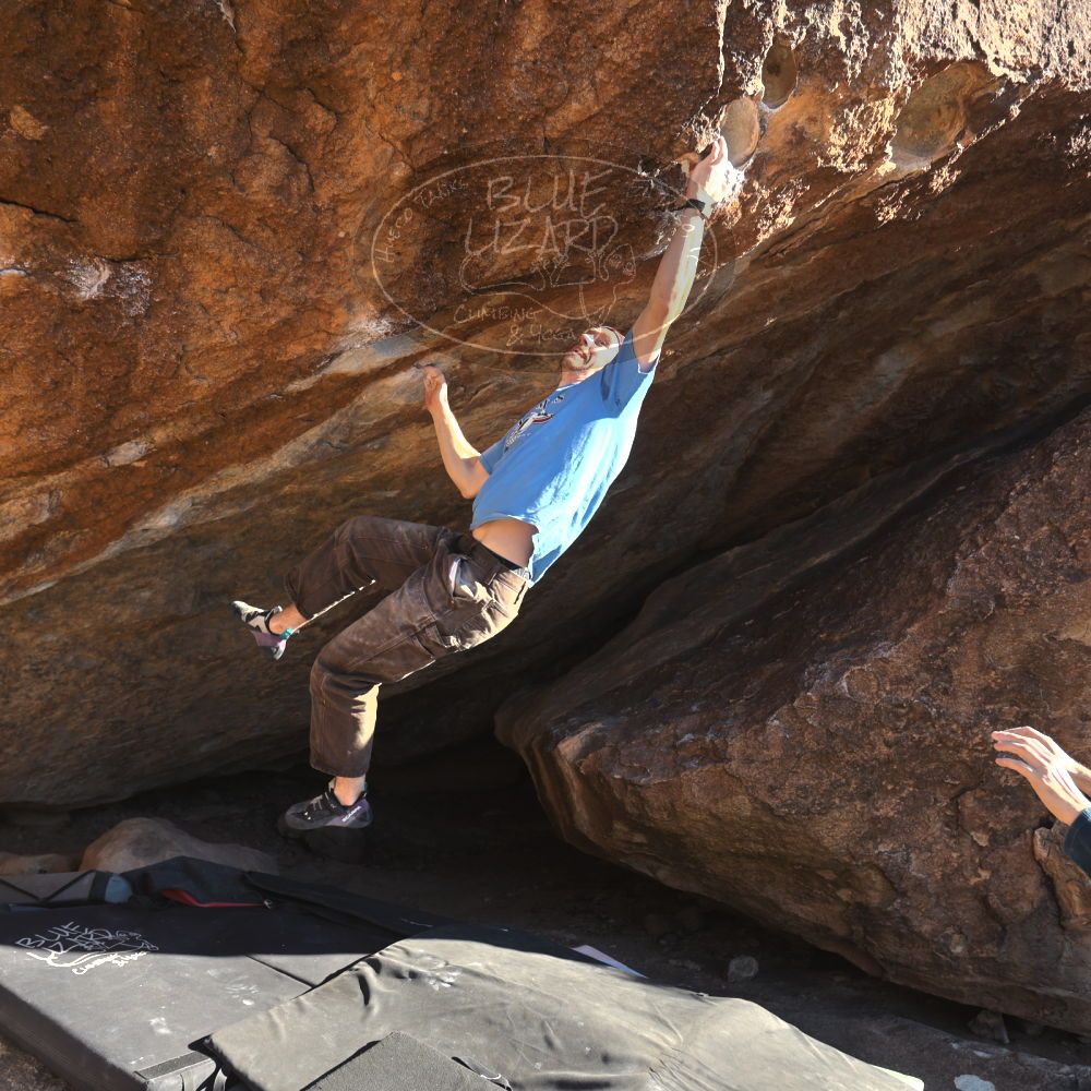 

Filename: SRM_20251124_1458102.jpg
Aperture: f/4.0
Shutter Speed: 1/500
Body: Canon EOS R6
Lens: Canon EF 16-35mm f/2.8 L