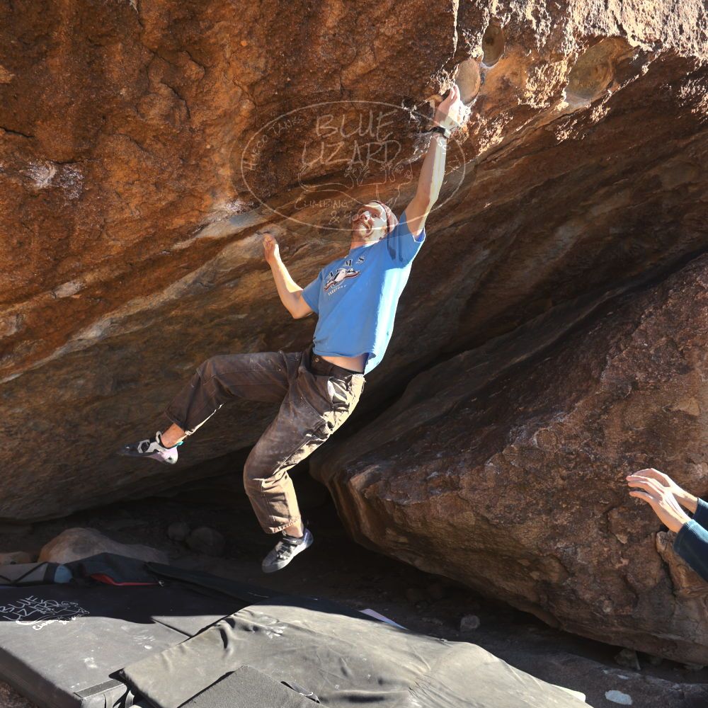 

Filename: SRM_20251124_1458103.jpg
Aperture: f/4.0
Shutter Speed: 1/500
Body: Canon EOS R6
Lens: Canon EF 16-35mm f/2.8 L