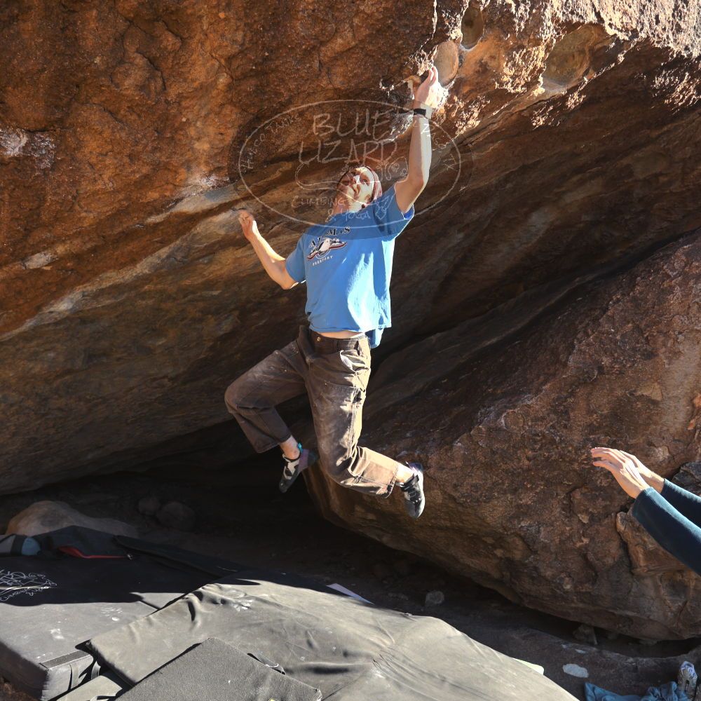 

Filename: SRM_20251124_1458110.jpg
Aperture: f/4.0
Shutter Speed: 1/500
Body: Canon EOS R6
Lens: Canon EF 16-35mm f/2.8 L