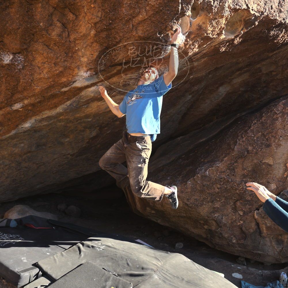 

Filename: SRM_20251124_1458111.jpg
Aperture: f/4.0
Shutter Speed: 1/500
Body: Canon EOS R6
Lens: Canon EF 16-35mm f/2.8 L