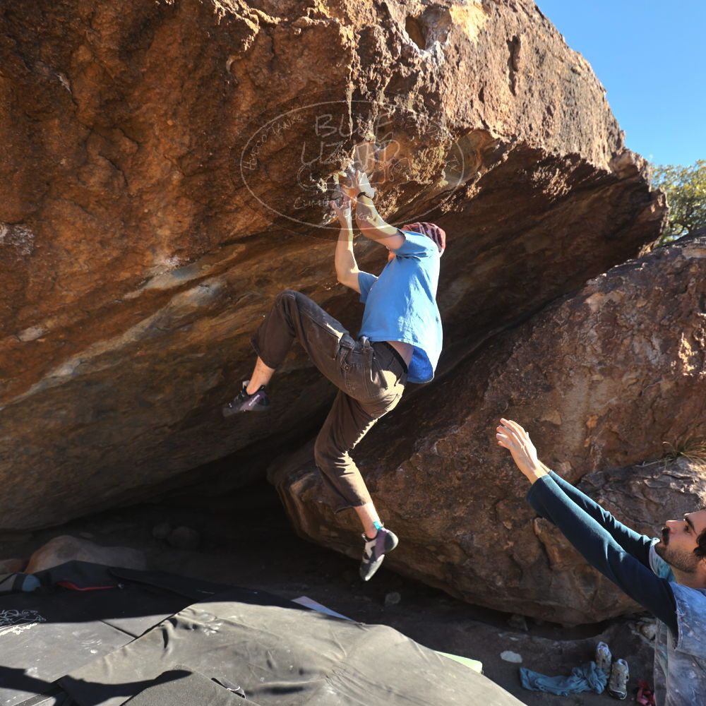 

Filename: SRM_20251124_1458160.jpg
Aperture: f/4.0
Shutter Speed: 1/500
Body: Canon EOS R6
Lens: Canon EF 16-35mm f/2.8 L