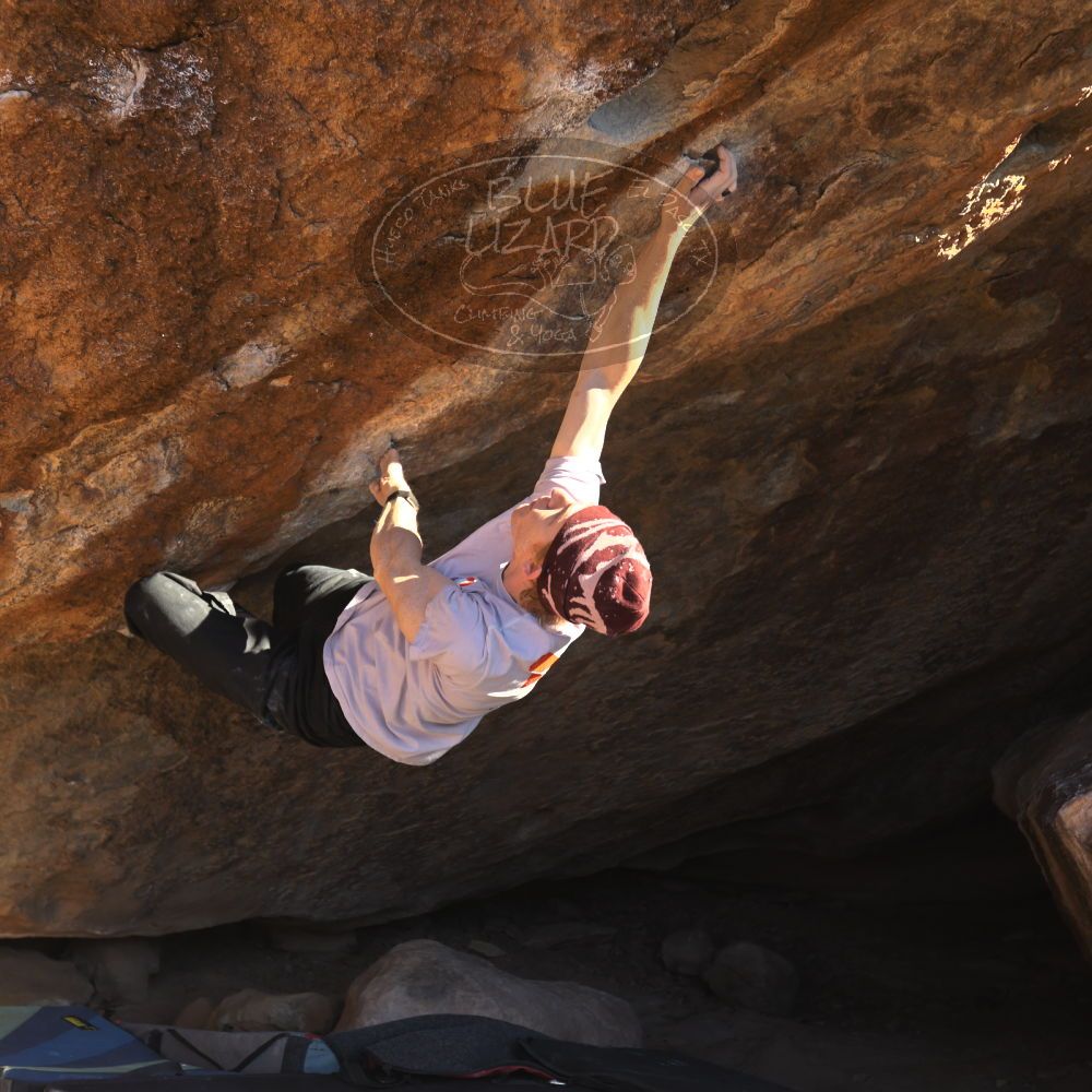 

Filename: SRM_20251124_1502070.jpg
Aperture: f/4.0
Shutter Speed: 1/500
Body: Canon EOS R6
Lens: Canon EF 16-35mm f/2.8 L