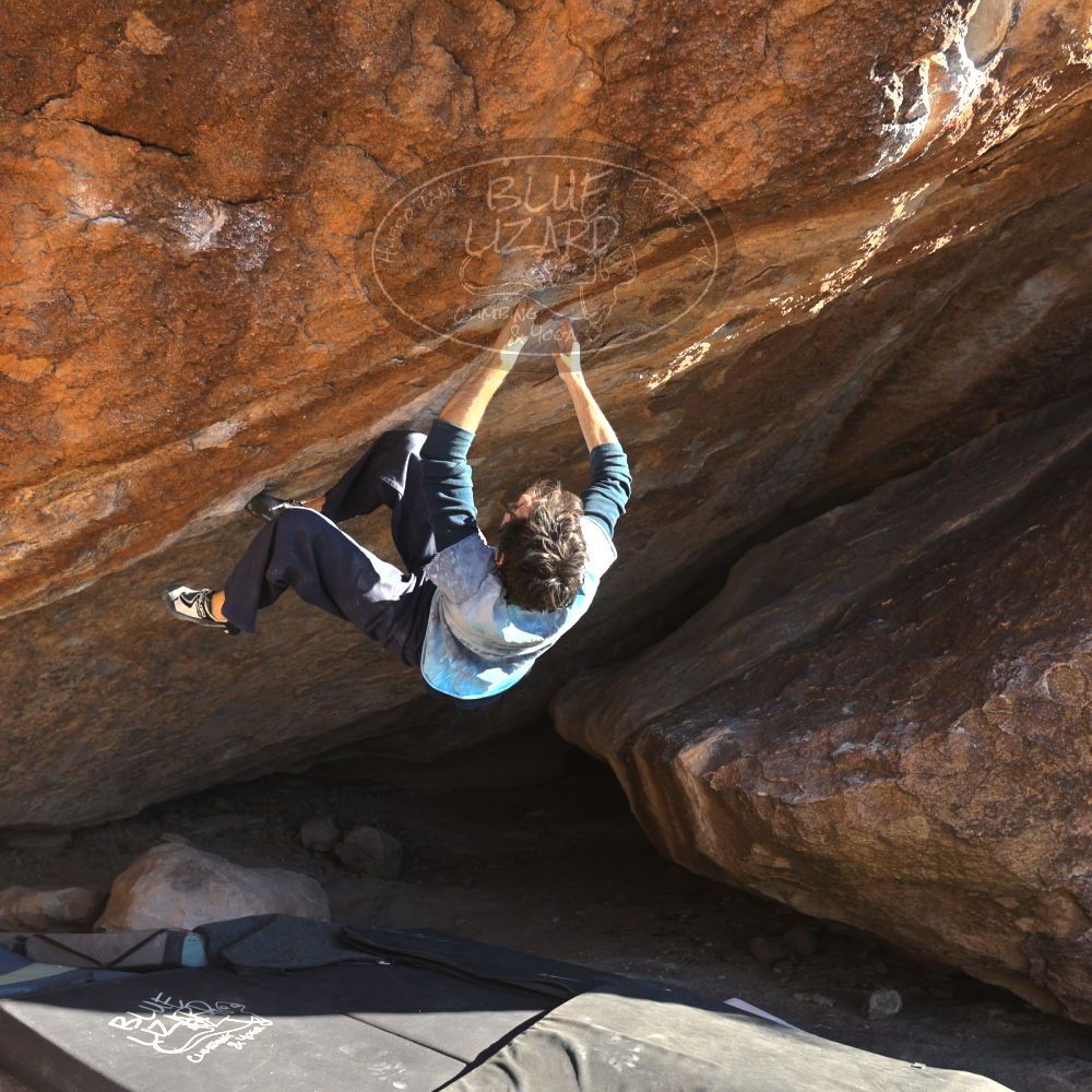 

Filename: SRM_20251124_1503330.jpg
Aperture: f/4.0
Shutter Speed: 1/500
Body: Canon EOS R6
Lens: Canon EF 16-35mm f/2.8 L