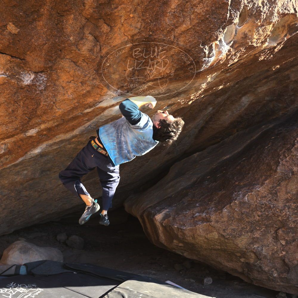 

Filename: SRM_20251124_1503390.jpg
Aperture: f/4.0
Shutter Speed: 1/500
Body: Canon EOS R6
Lens: Canon EF 16-35mm f/2.8 L