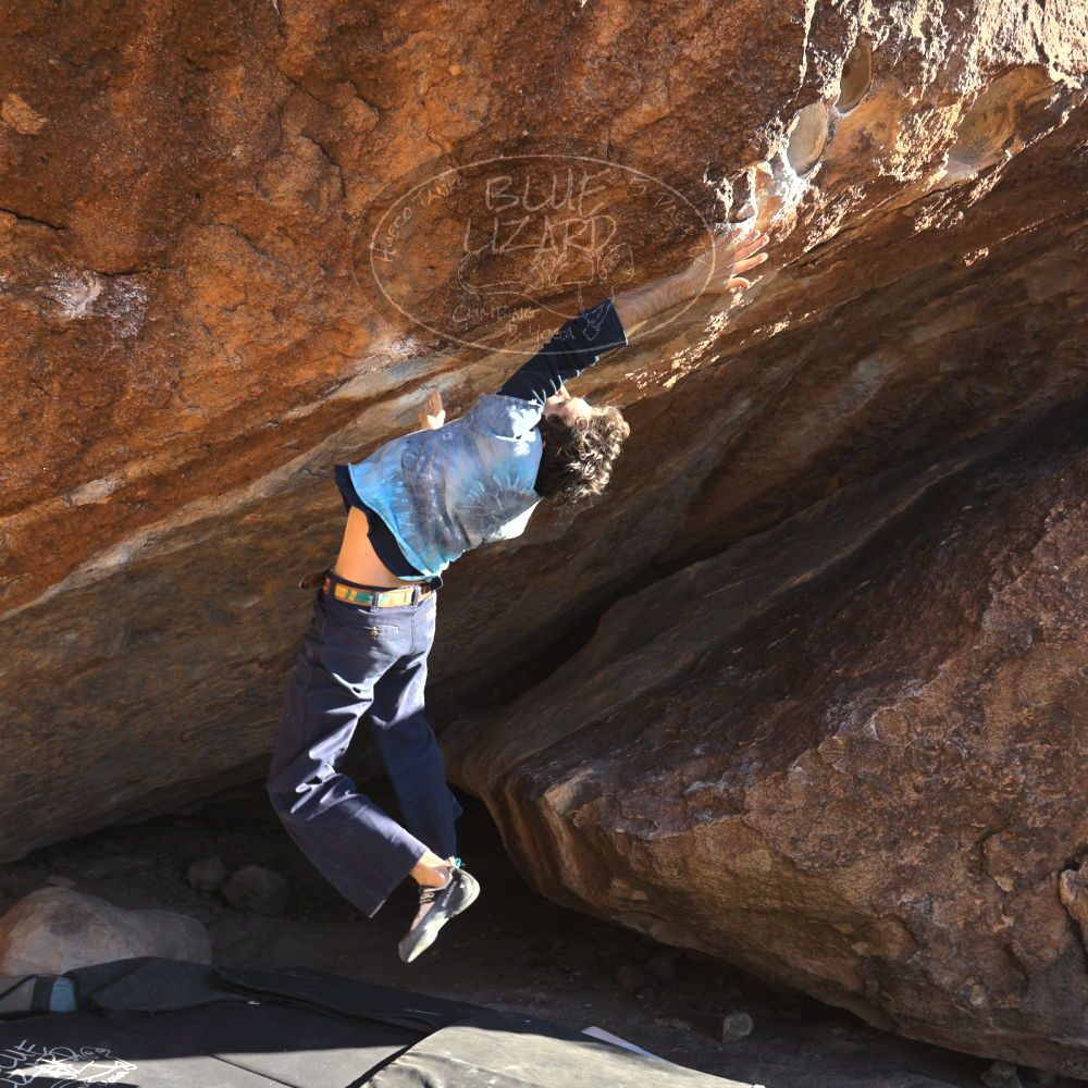 

Filename: SRM_20251124_1503391.jpg
Aperture: f/4.0
Shutter Speed: 1/500
Body: Canon EOS R6
Lens: Canon EF 16-35mm f/2.8 L