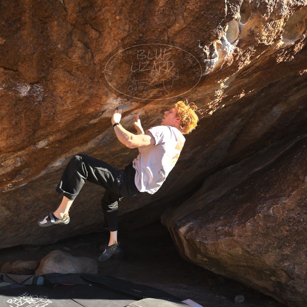 

Filename: SRM_20251124_1505000.jpg
Aperture: f/4.0
Shutter Speed: 1/500
Body: Canon EOS R6
Lens: Canon EF 16-35mm f/2.8 L