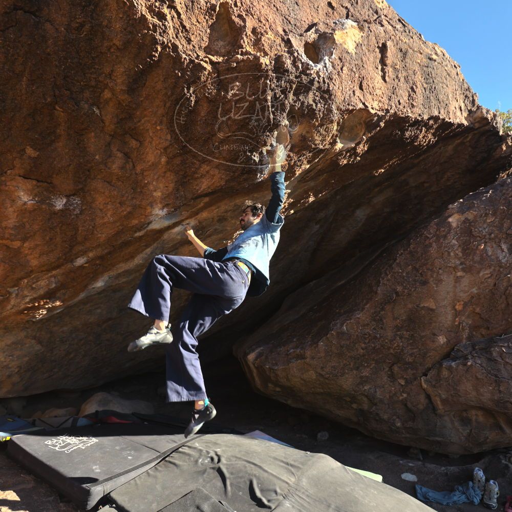 

Filename: SRM_20251124_1506360.jpg
Aperture: f/4.0
Shutter Speed: 1/500
Body: Canon EOS R6
Lens: Canon EF 16-35mm f/2.8 L