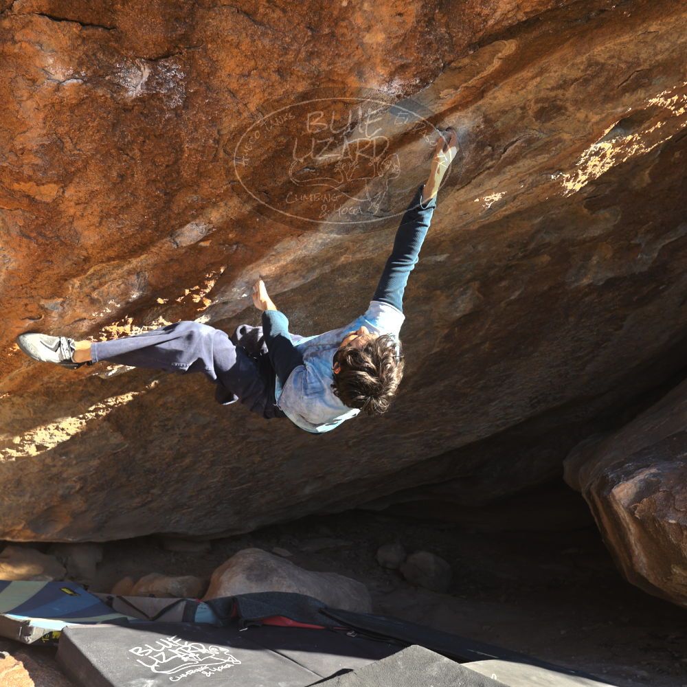 

Filename: SRM_20251124_1511050.jpg
Aperture: f/4.0
Shutter Speed: 1/500
Body: Canon EOS R6
Lens: Canon EF 16-35mm f/2.8 L