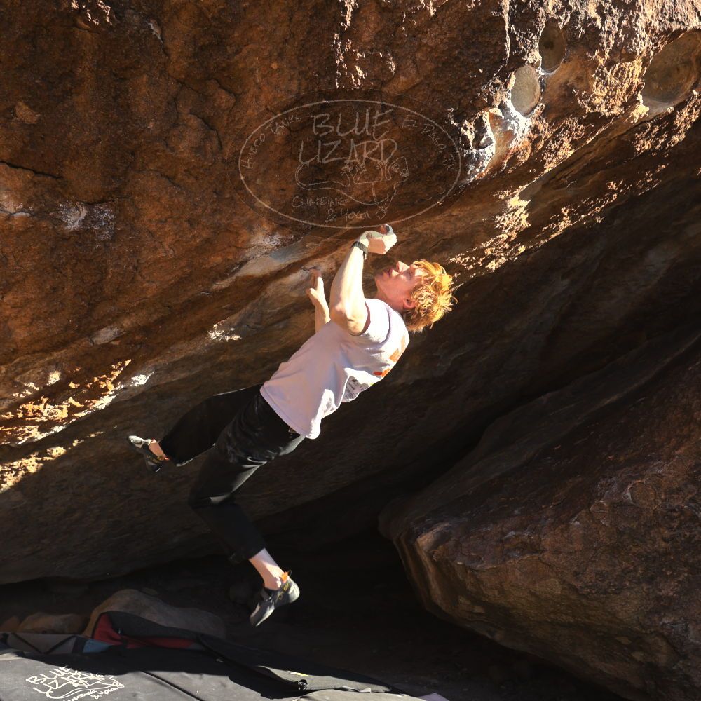 

Filename: SRM_20251124_1513410.jpg
Aperture: f/4.0
Shutter Speed: 1/500
Body: Canon EOS R6
Lens: Canon EF 16-35mm f/2.8 L