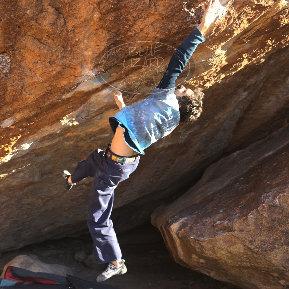 

Filename: SRM_20251124_1514380.jpg
Aperture: f/4.0
Shutter Speed: 1/500
Body: Canon EOS R6
Lens: Canon EF 16-35mm f/2.8 L