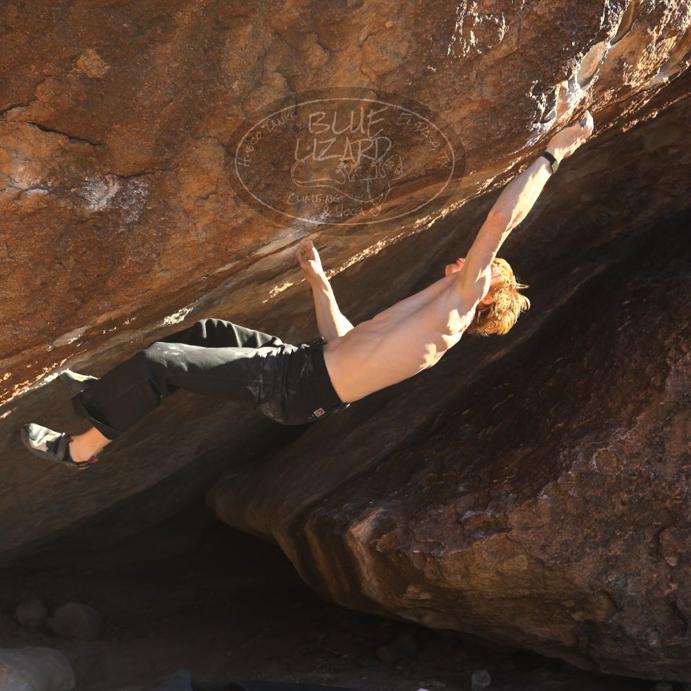 

Filename: SRM_20251124_1515450.jpg
Aperture: f/4.0
Shutter Speed: 1/500
Body: Canon EOS R6
Lens: Canon EF 16-35mm f/2.8 L