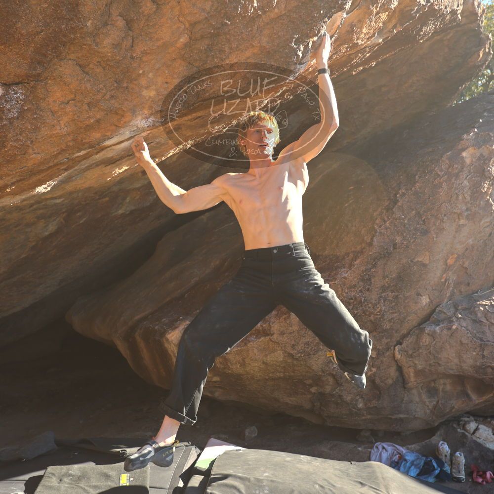 

Filename: SRM_20251124_1515463.jpg
Aperture: f/4.0
Shutter Speed: 1/500
Body: Canon EOS R6
Lens: Canon EF 16-35mm f/2.8 L