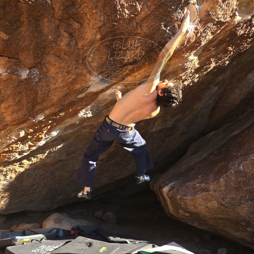 

Filename: SRM_20251124_1516470.jpg
Aperture: f/4.0
Shutter Speed: 1/500
Body: Canon EOS R6
Lens: Canon EF 16-35mm f/2.8 L