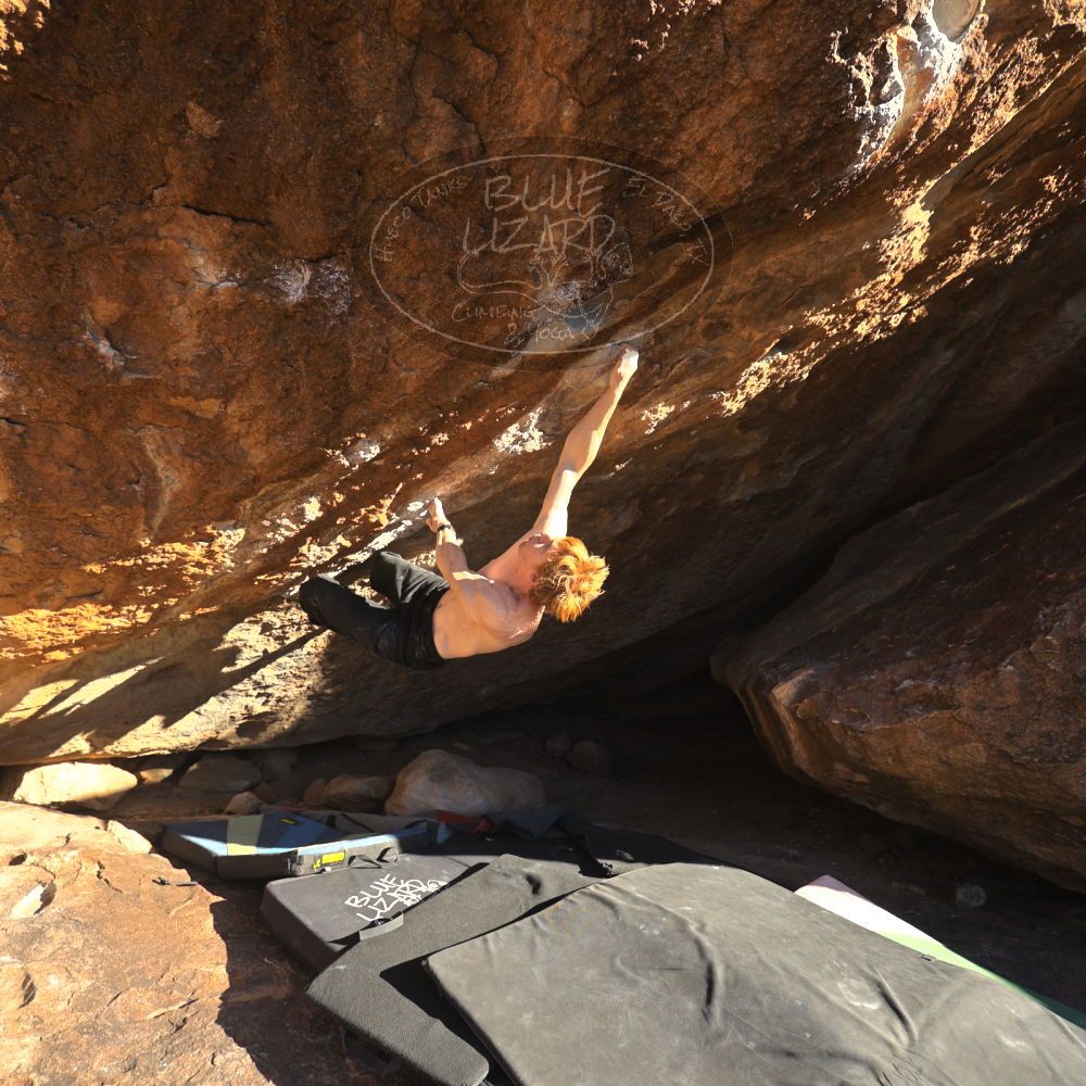 

Filename: SRM_20251124_1518370.jpg
Aperture: f/4.0
Shutter Speed: 1/500
Body: Canon EOS R6
Lens: Canon EF 16-35mm f/2.8 L